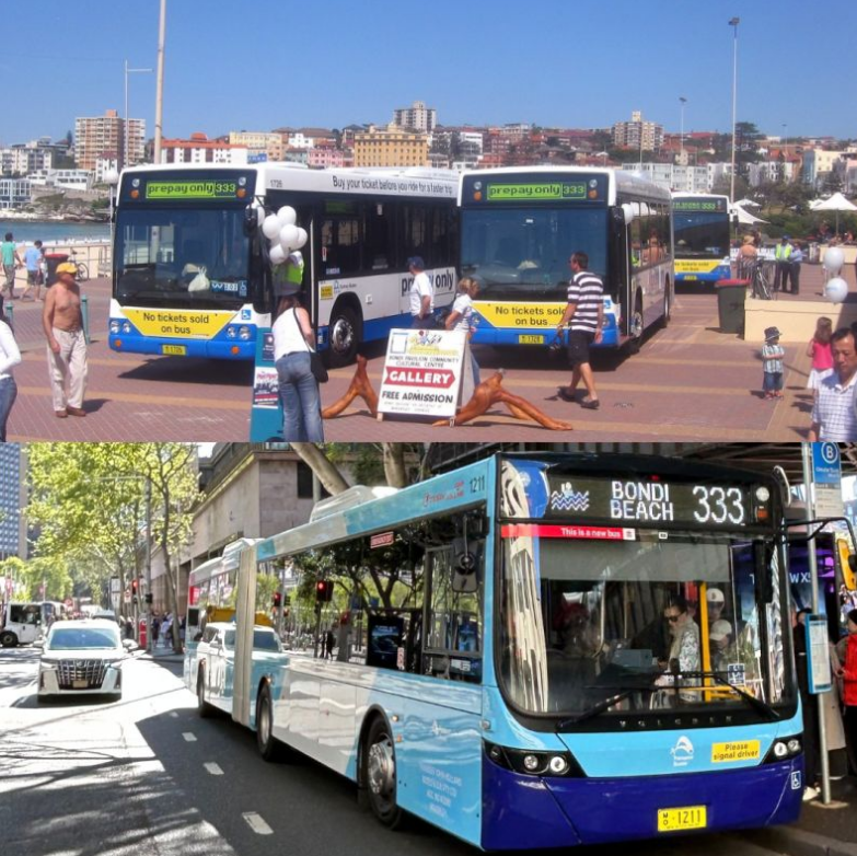 Bondi Beach 333 bus 
